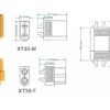 Concetor_XT30_2 Conector XT30